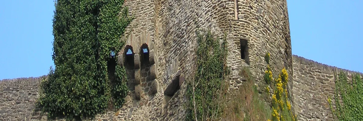 image-installation-douche-senior-saint-lo.webp Image Installation douche sénior Saint-Lô